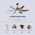 (TLD) The Zephyr Walnut 6-Blade Ceiling Fan with LED Light - 54