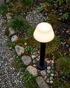 (TLD) Tall Outdoor Mushroom Pathway Light